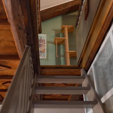 Apartament Casa Mimmo, Ac, 2 Rooms, Mole *